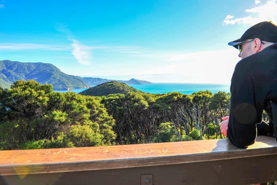 Queen Charlotte Track: Cruise & Self-Guided Hike from Picton - Who this Queen Charlotte Track day hike is perfect for