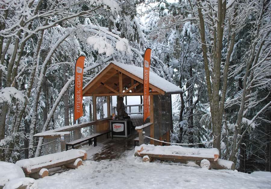 Queenstown: 2-Hour Zipline Tour with 4-Lines - Bob’s Peak Start: Skyline Gondola, check-in, and your first steps