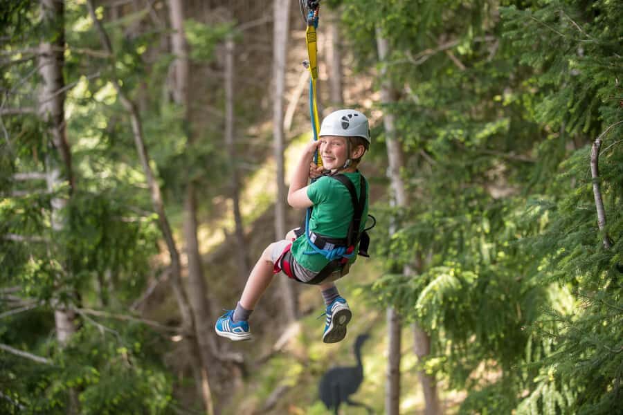 Queenstown: 2-Hour Zipline Tour with 4-Lines - Should you book Queenstown’s 4-line Ziptrek tour?
