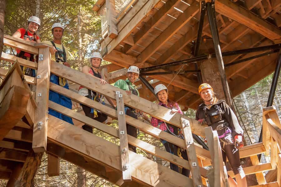 Queenstown: 2-Hour Zipline Tour with 4-Lines - What the 4-line course feels like: built for confidence, not intimidation