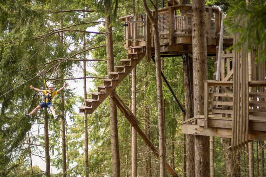 Queenstown: 3-Hour Zipline Adventure with 6-Lines - Ziptrek’s 6 Lines in Queenstown: The Big Picture