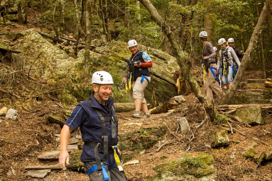 Queenstown: 3-Hour Zipline Adventure with 6-Lines - Getting to Ziptrek Treehouse and Why the Gondola Ticket Matters
