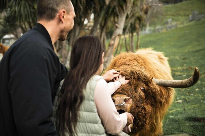 Queenstown Lake Cruise and Walter Peak Farm Adventure - Quick Key Points (What Makes This Tour Worth Your Time)
