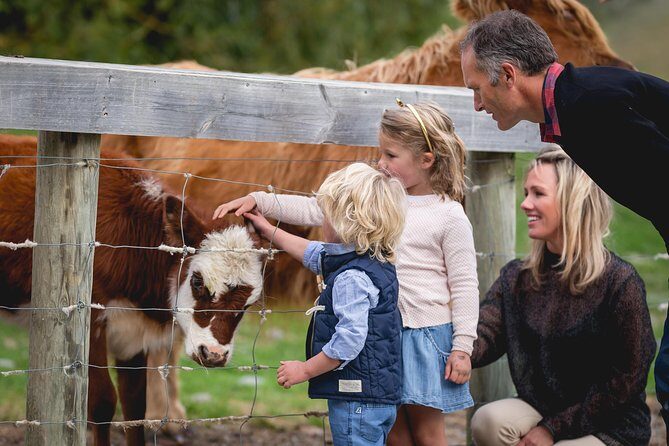 Queenstown Lake Cruise and Walter Peak Farm Adventure - Sheep Shearing and the Farmyard “How It’s Done” Moment