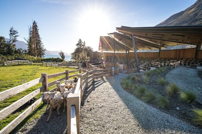 Queenstown Lake Cruise and Walter Peak Farm Adventure - The Afternoon Tea at Walter Peak: Scones and a Proper Reset