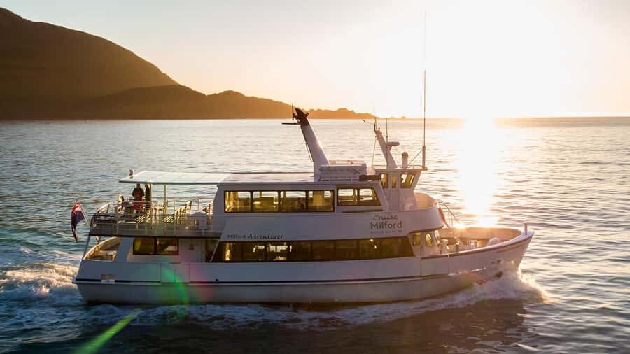 Queenstown: Milford Sound Small-Group Tour w Cruise & Lunch - What Makes This Milford Sound Day Trip Work So Well