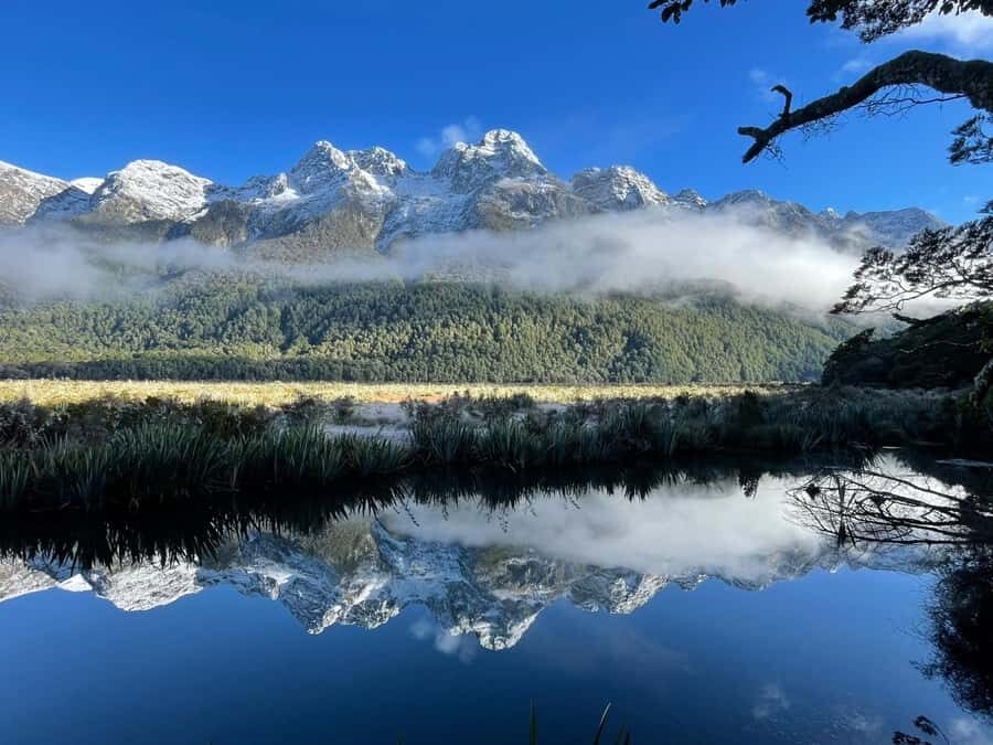 Queenstown: Milford Sound Small-Group Tour w Cruise & Lunch - Lake Gunn and Fiordland National Park: A Short Visit With Big Setting