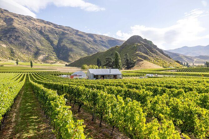 Queenstown Wine & Food Tour: Scenery, Tastings & Delicious Lunch! - Kinross: a fully hosted tasting plus the wine-paired a la carte lunch