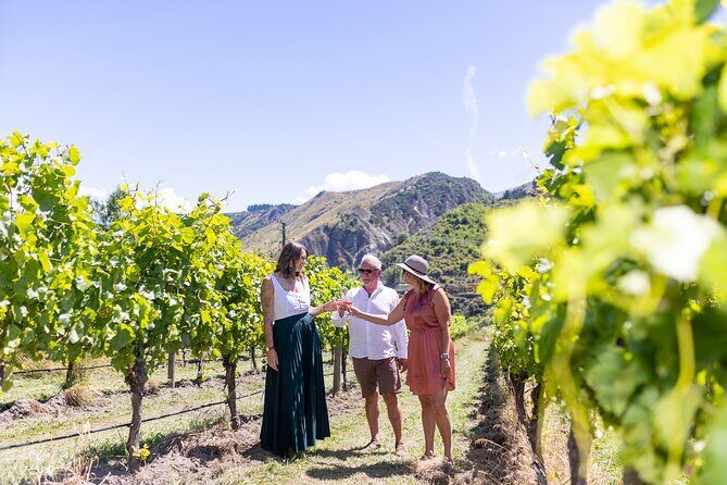 Queenstown Wine Tour - Tastings, lunch, and drinks: you control the bill