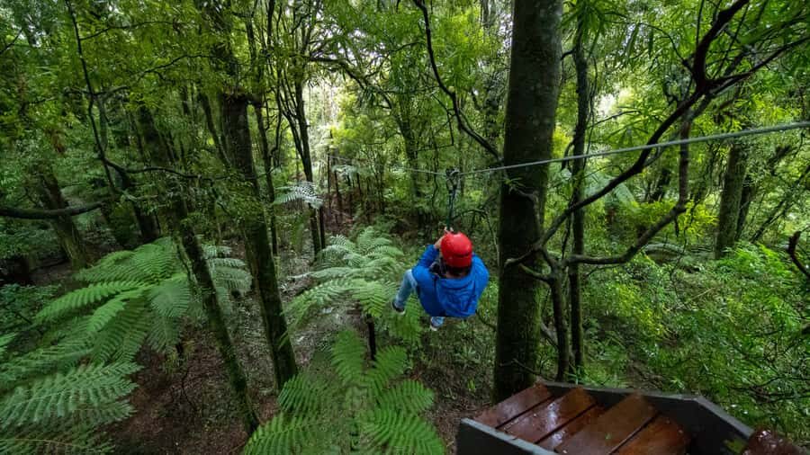 Rotorua: 6 Ziplines, Swing-Bridges & Wildlife Encounters - Who this is best for in Rotorua (and who should skip it)