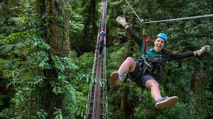 Rotorua: 6 Ziplines, Swing-Bridges & Wildlife Encounters - What the 2.5-hour course feels like in real life
