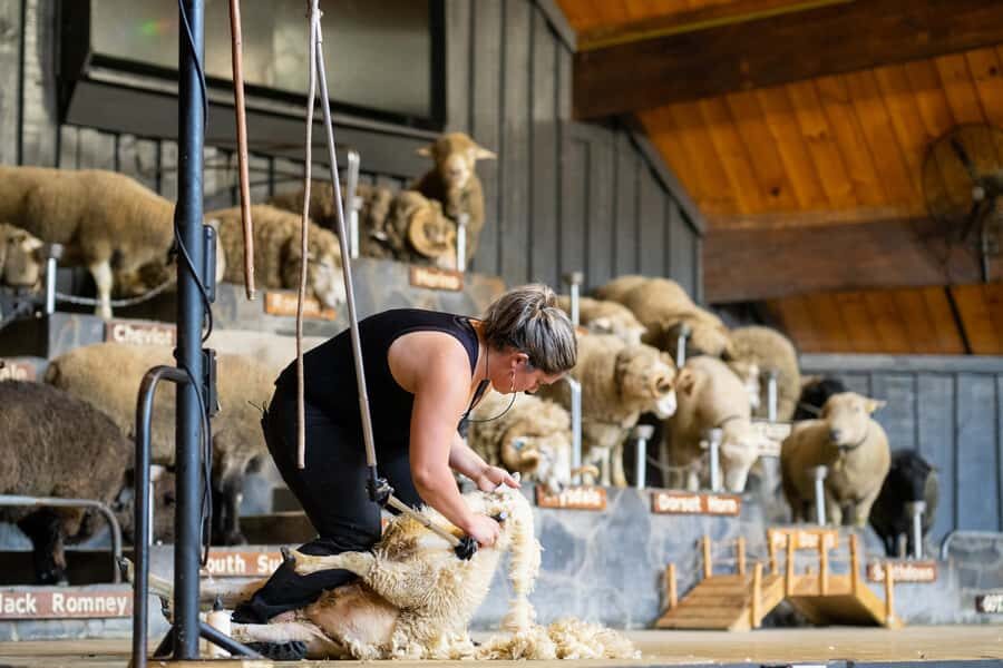 Rotorua: Authentic Kiwi Farm Experience at the Agrodome - Key things to know before you go