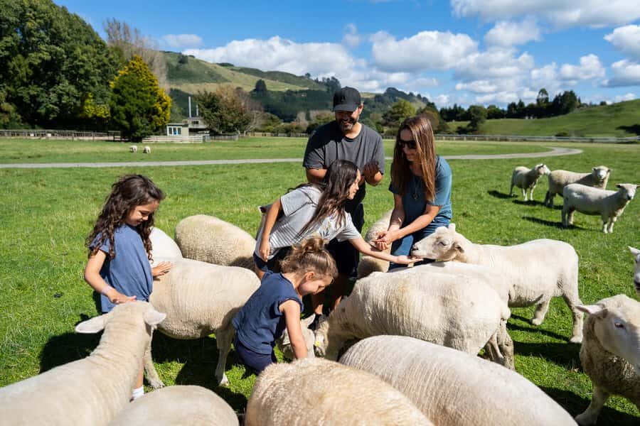 Rotorua: Authentic Kiwi Farm Experience at the Agrodome - Final call: should you book this Rotorua farm experience?