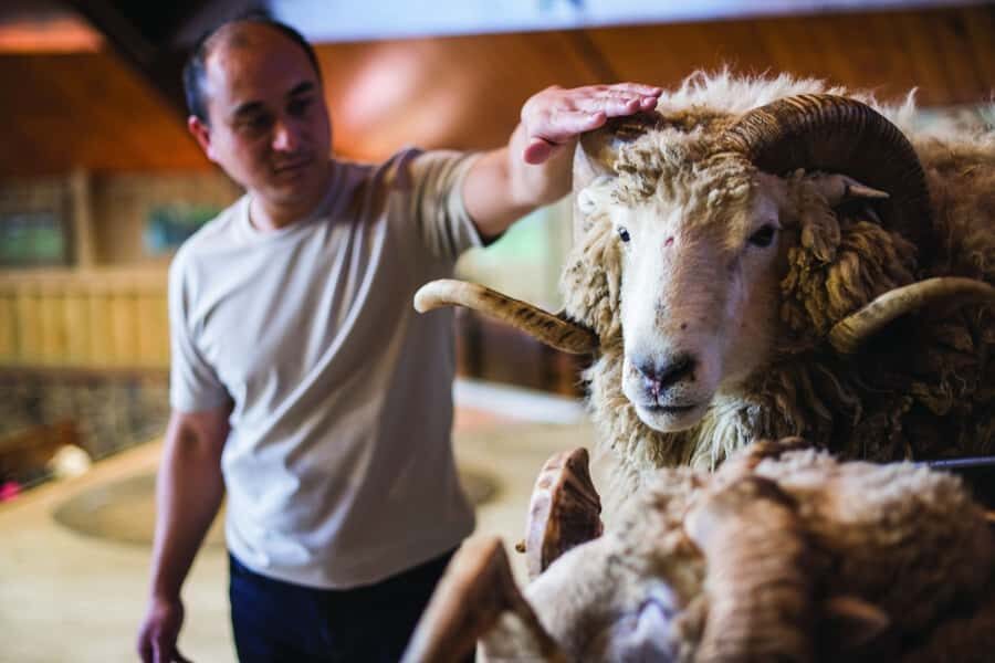 Rotorua: Authentic Kiwi Farm Experience at the Agrodome - Hand-feeding animals: your close-up moment with Kiwi farm favorites