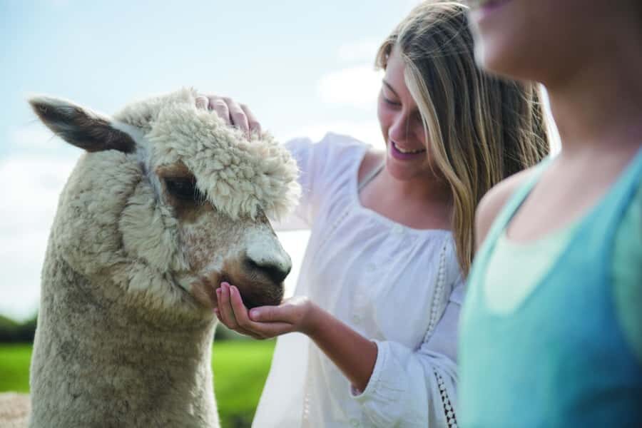 Rotorua: Authentic Kiwi Farm Experience at the Agrodome - What you’ll taste: kiwifruit juice and farm-produced honey