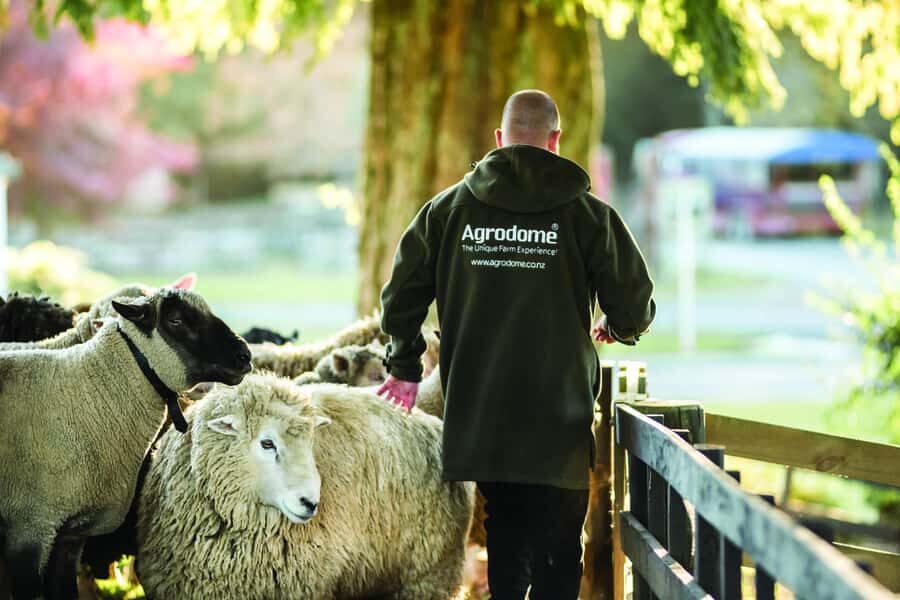 Rotorua: Authentic Kiwi Farm Experience at the Agrodome - Getting there and timing it right from Rotorua