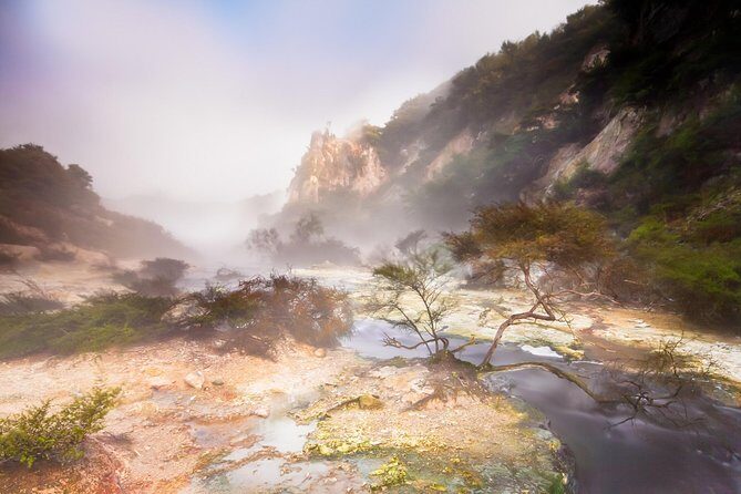 Rotorua based Small Group Morning Tour Waimangu and Wai O Tapu - Lady Knox at 10:15: the timed eruption moment