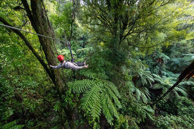 Rotorua Canopy Tours: 2.5Hour Native Forest Zipline Adventure - Gear Up and Listen First: What Happens Before You Fly