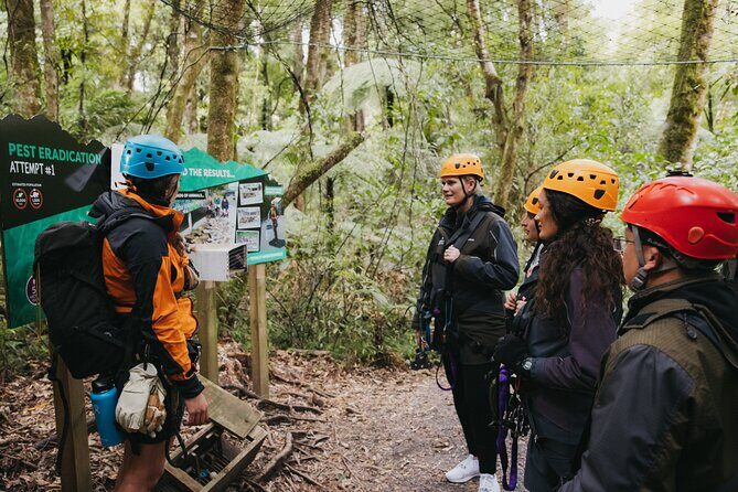 Rotorua Canopy Tours: 2.5Hour Native Forest Zipline Adventure - Learning and Conservation: Why This Tour Feels Like More Than a Ride