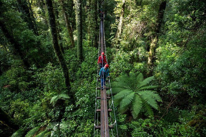 Rotorua Canopy Tours: 2.5Hour Native Forest Zipline Adventure - Who This Tour Fits Best (and Who Might Want Another Option)