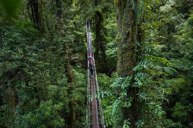 Rotorua Canopy Tours: 2.5Hour Native Forest Zipline Adventure - Where the Tour Starts (and How You’ll Get There)