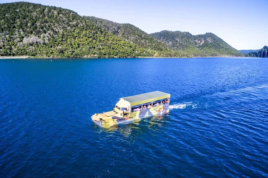 Rotorua City and Lakes Duck Tour - Rotorua city sights from your seat: what you’ll notice right away