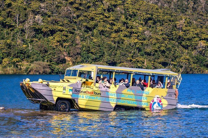 Rotorua Duck Boat Guided City and Lakes Tour - Key Things I’d Plan Around