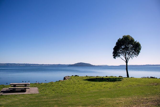 Rotorua Duck Boat Guided City and Lakes Tour - Rotorua Museum and Blue Baths: Old-School Landmarks With Local Stories