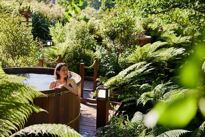 Rotorua Forest Hot Tub Soak at Secret Spot - Check-in, changing rooms, and what to pack