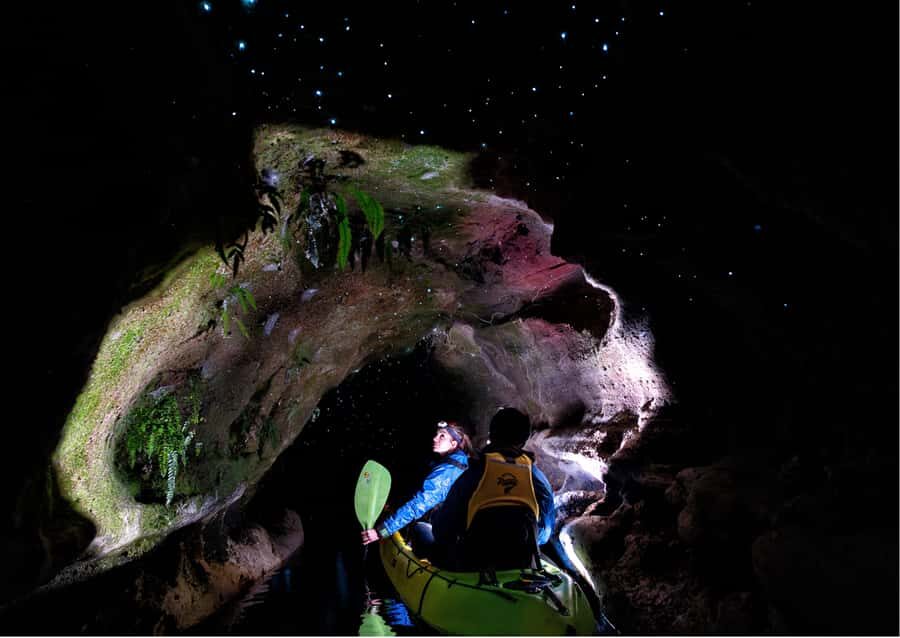 Rotorua: Glow Worm Kayak Tour - First Paddle in Twilight: Easy Instruction and Calm Water