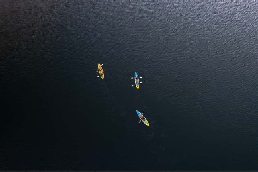 Rotorua: Glow Worm Kayak Tour - Stargazing When Skies Cooperate: Milky Way and Planet Spotting