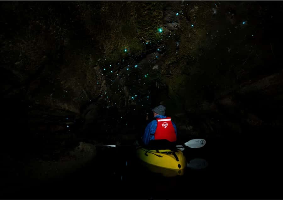 Rotorua: Glow Worm Kayak Tour - Food, Drinks, and the Stuff You Need to Bring Yourself