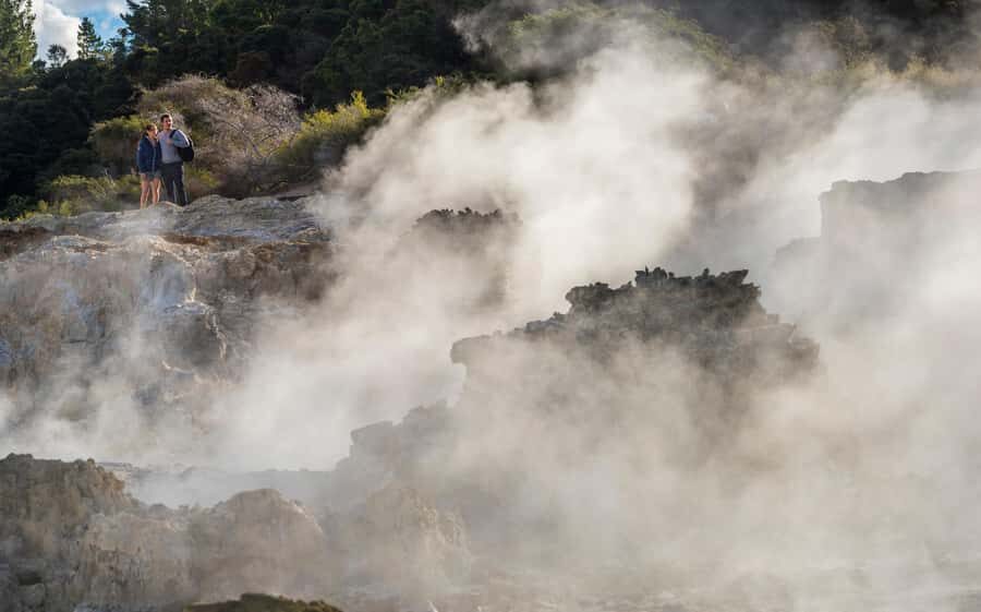 Rotorua: Hell's Gate Outdoor Mud Spa & Guided Walk - Māori Wood Carving: A Cultural Activity You Can Take Home