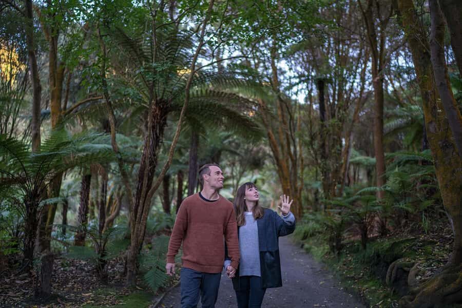 Rotorua: Hell's Gate Outdoor Mud Spa & Guided Walk - The Geothermal Field Walk: What You’ll See Up Close