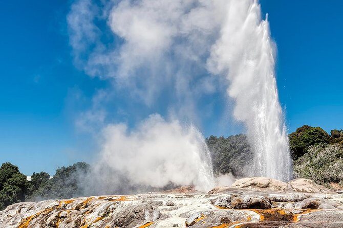 Rotorua Highlights Tour from Auckland with Optional Extras - Rotorua in one day: what the 6:30am start really means