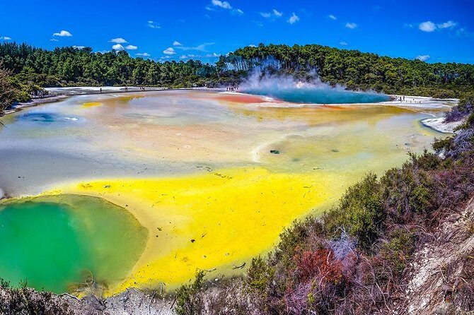Rotorua Highlights Tour from Auckland with Optional Extras - The drive south from Auckland: Waikato scenery and quick, smart stops