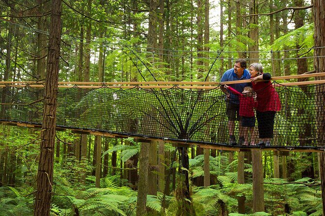 Rotorua Highlights Tour from Auckland with Optional Extras - Price and value: $214.72 is mostly about transportation and timing