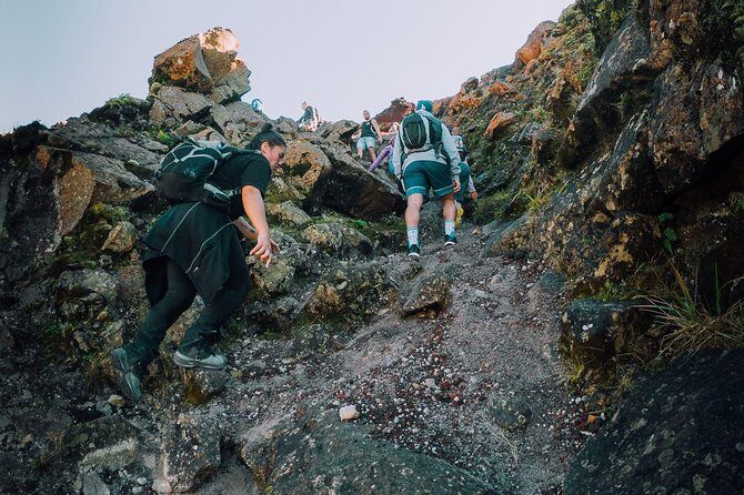 Rotorua Hiking: Mt Tarawera Guided Volcanic Crater Experience - Rotorua Pickup and Timing: The 4.5-Hour Rhythm You’ll Feel