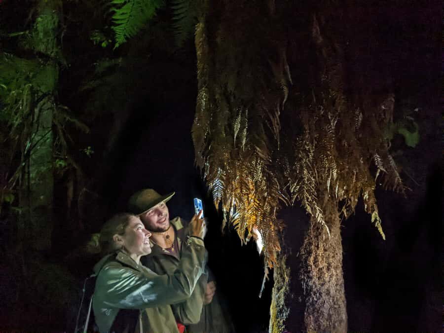 Rotorua: Nocturnal Glow-Worm Adventure Tour with a Guide - Key Things You’ll Remember