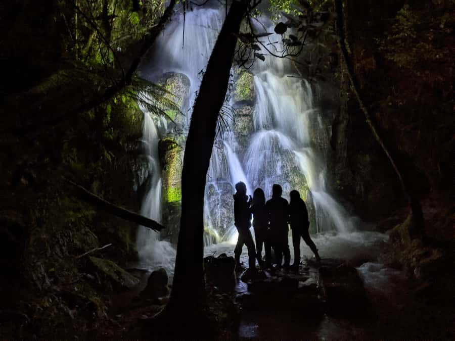 Rotorua: Nocturnal Glow-Worm Adventure Tour with a Guide - Rotorua Glow Worms Look Different When You Walk Through Them