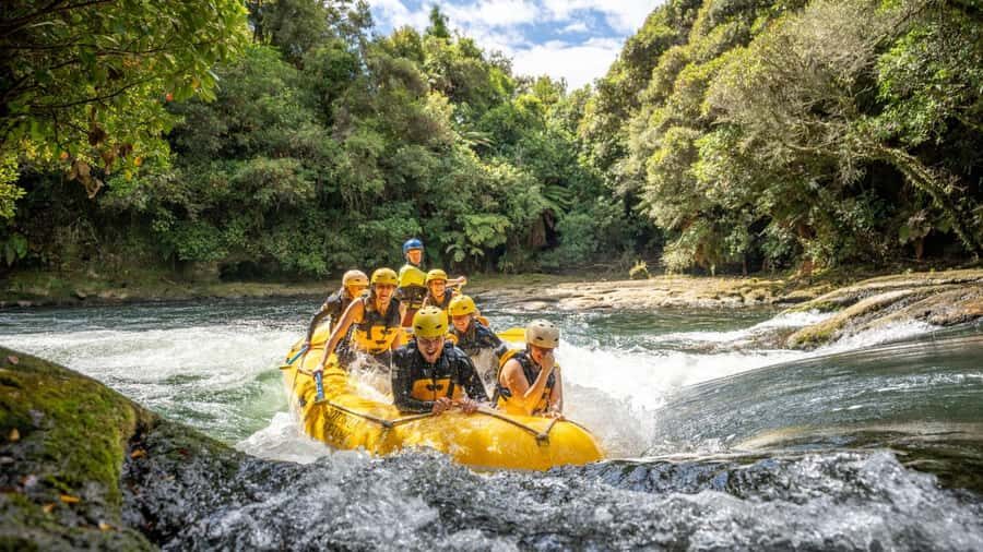 Rotorua Rafting: Kaituna River Rafting Experience-Free Sauna - The 2-hour flow: wetsuits on, action on, sauna after