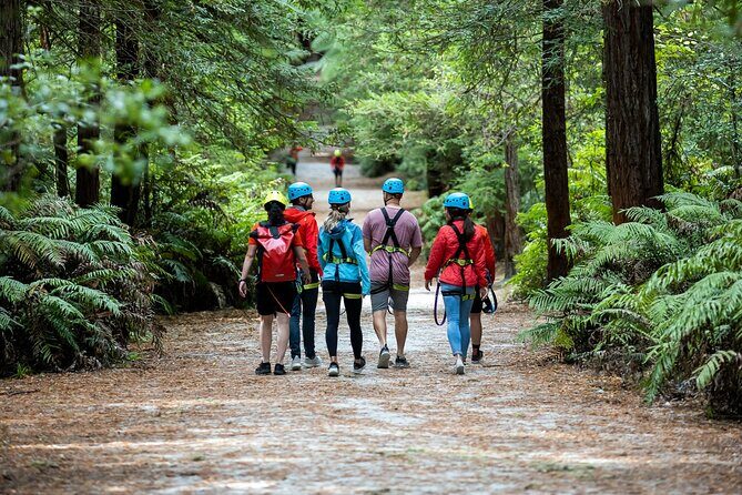 Rotorua: Redwoods Altitude High Ropes Adventure - Key things to know before you clip in