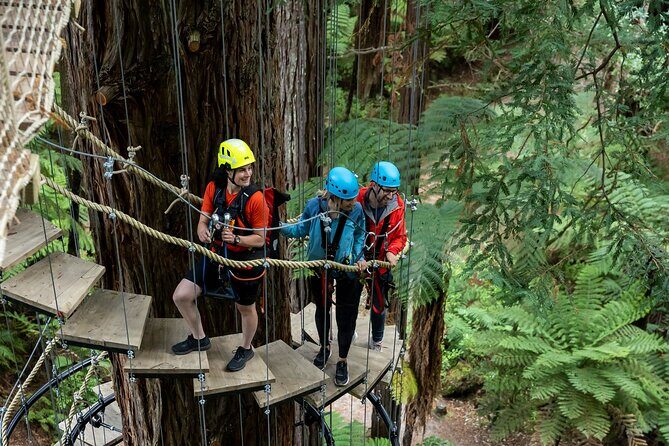 Rotorua: Redwoods Altitude High Ropes Adventure - Glowworms Eco-Cave: A Short, Guided Reset