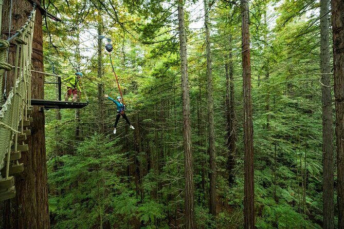 Rotorua: Redwoods Altitude High Ropes Adventure - Who This Fits (And Who Should Think Twice)