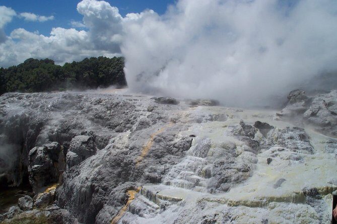Rotorua Small-Group Day Tour from Auckland - Auckland to Rotorua by minivan: what the drive really feels like