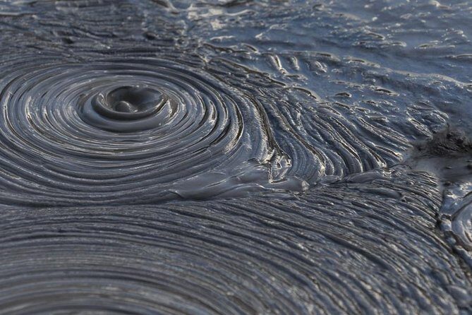 Rotorua Small-Group Day Tour from Auckland - Te Puia and the Māori Arts and Crafts Institute: the cultural core of the day