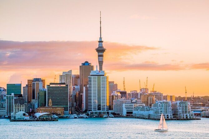 Rotorua Small-Group Day Tour from Auckland - Price and value: why $253.81 can make sense (or not)