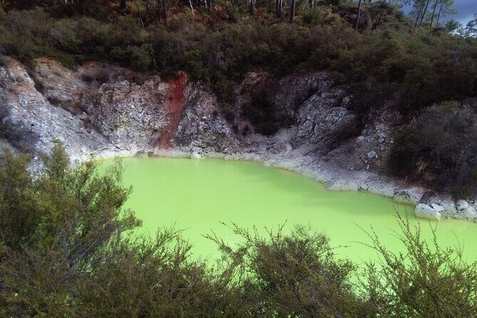 Rotorua Small-Group Day Tour from Auckland - Who this Rotorua day trip fits best (and who should reconsider)