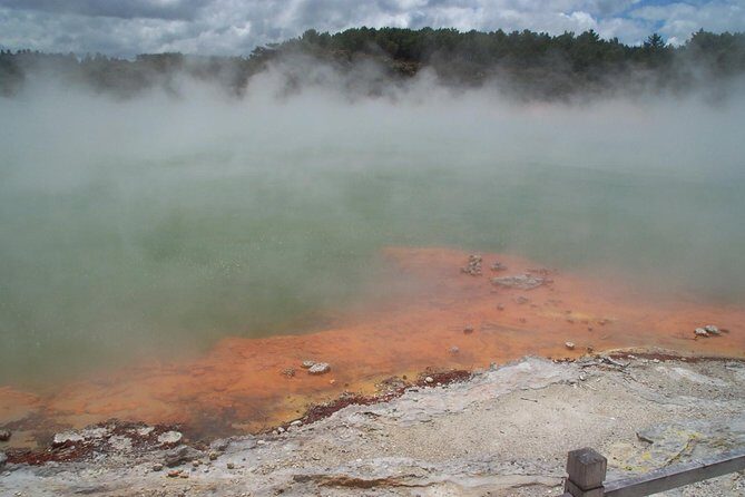 Rotorua Small-Group Day Tour from Auckland - Geysers, Kiwi House, and the Te Puia buffet lunch (with real options for food)