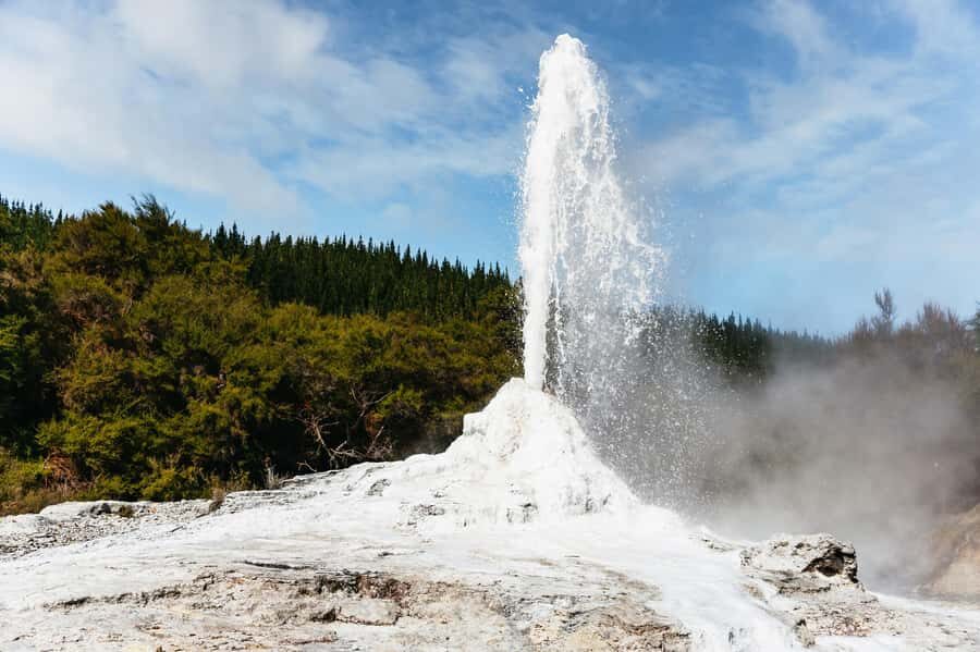 Rotorua: Wai-O-Tapu Geothermal Park Entry Ticket - Lady Knox Geyser: the daily show and your best timing